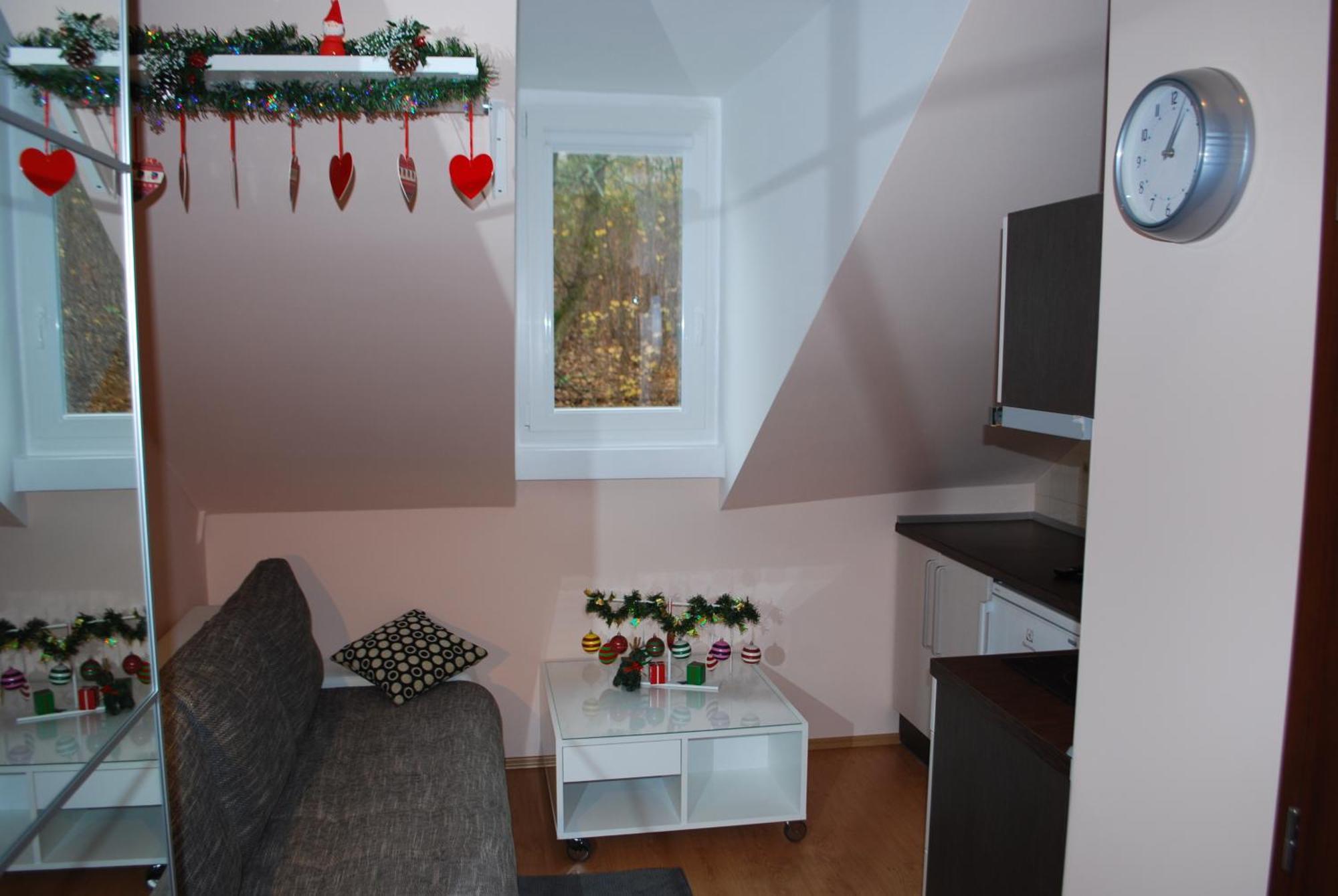 Jurincom Apartments Κάρλοβι Βάρι Δωμάτιο φωτογραφία